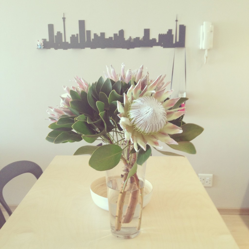 Fresh King Proteas from the Adderley Street flower sellers